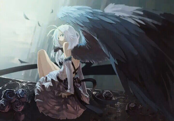 1c473077980127f9beb03d6b08388c5f.avif