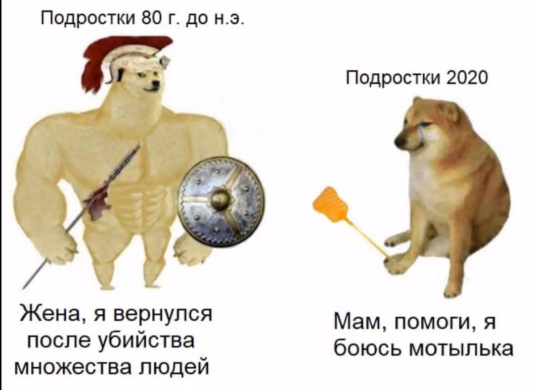 1c4ef5e98ca501c088cb3439e5779851.avif