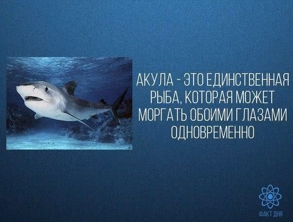 1c51743035d02edd9b9e1c3c94110598.jpg