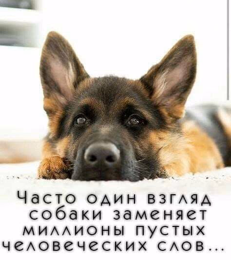 1c5714ca33bd0f1a18ada4ae73970318.avif