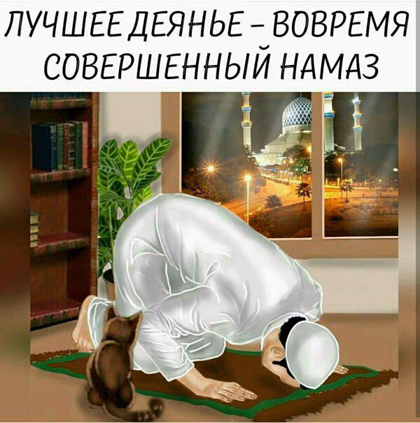 1c6ed23c5d3fbaf18494f2629ff3104c.avif
