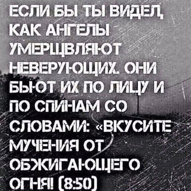 1c7b45d316493439a7ea9b2707bfc405.jpg