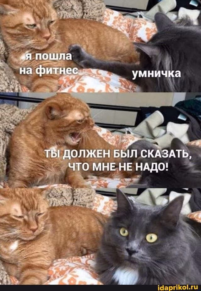 1c9723f0bca3e658c66e724cc5ea9839.avif