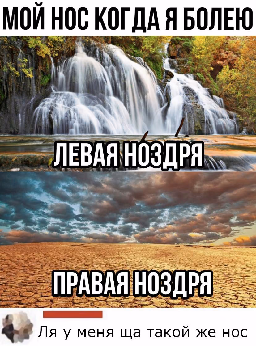 1c9cb173e612e012bb2231accfb51157.jpg