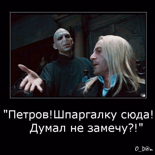 1ca32aee255366c408c6e543233486fb.avif