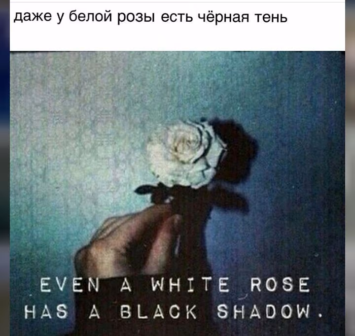 1cab7724da789fd19e4d9b69b0a4d85a.jpg