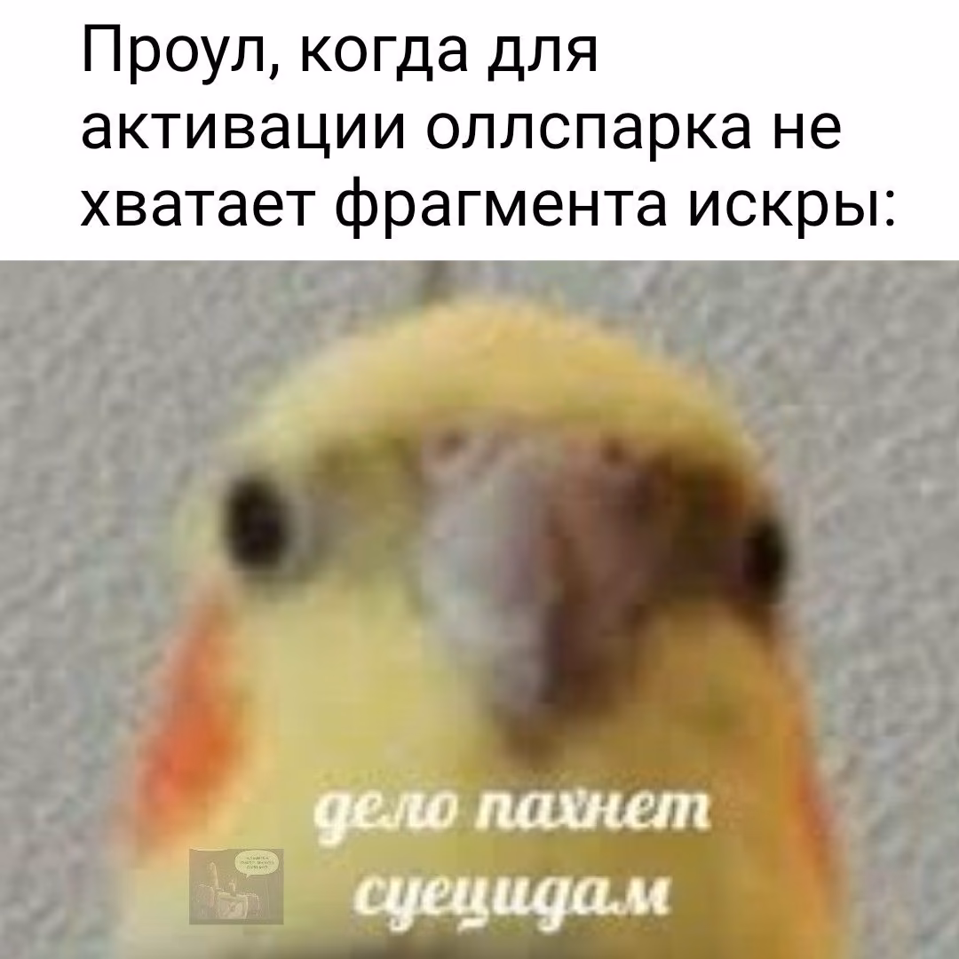 1cad9453db708b59f92530f5f98ee1ae.avif