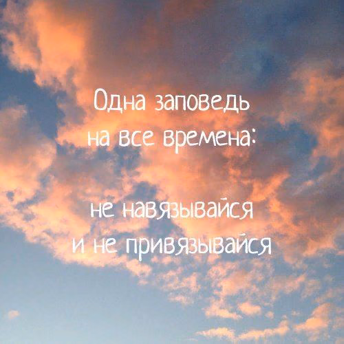 1cb5e1d351fb4af634275e4aefe175ca.jpg