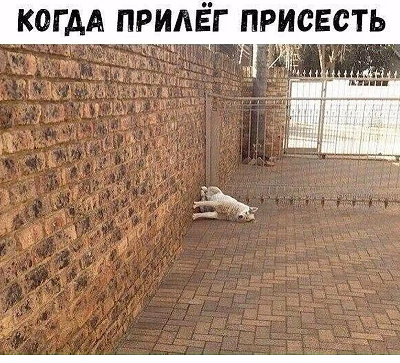 1cb823c901a1d9bd23af4b331338e093.avif