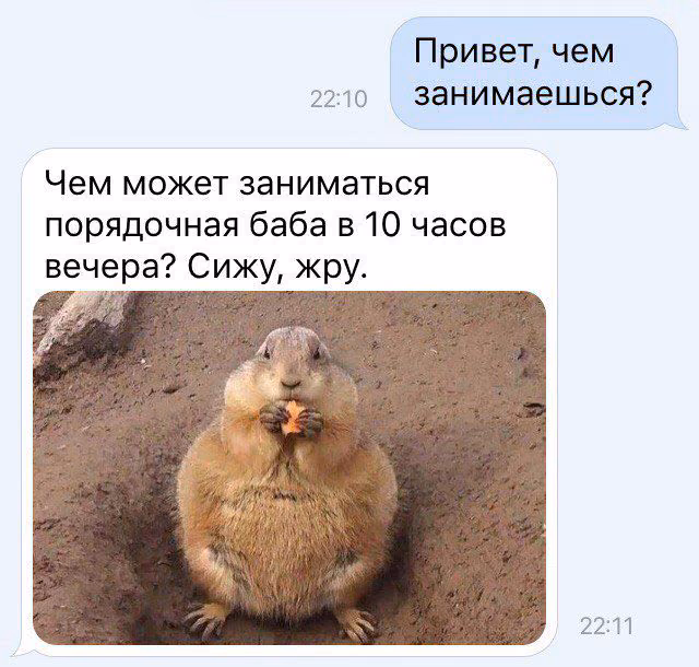 1cd0e4ee1118b13a7f9390be4b71167a.avif