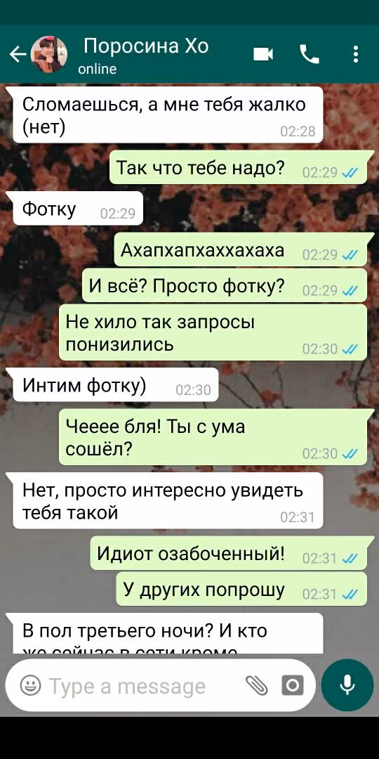 1ce21662c16e8ee48bcdf835f01e2c60.avif