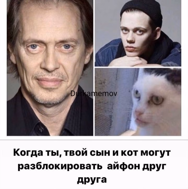 1ce4d6821d1effa10018008ecae0a4c6.avif