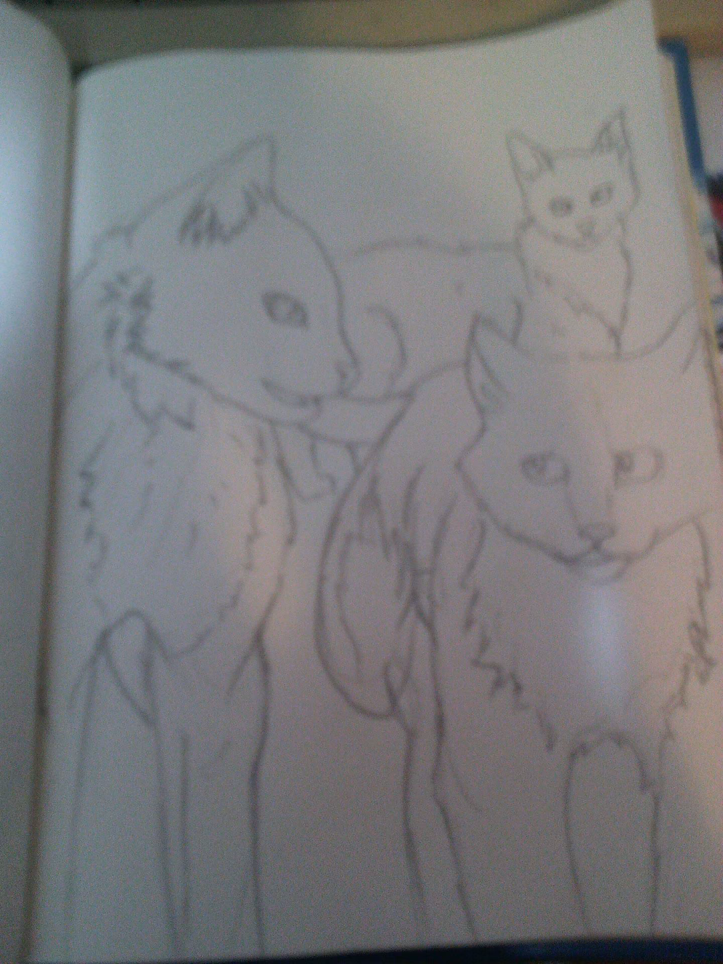 1ce58e9440fdf3424d97b41651877433.avif