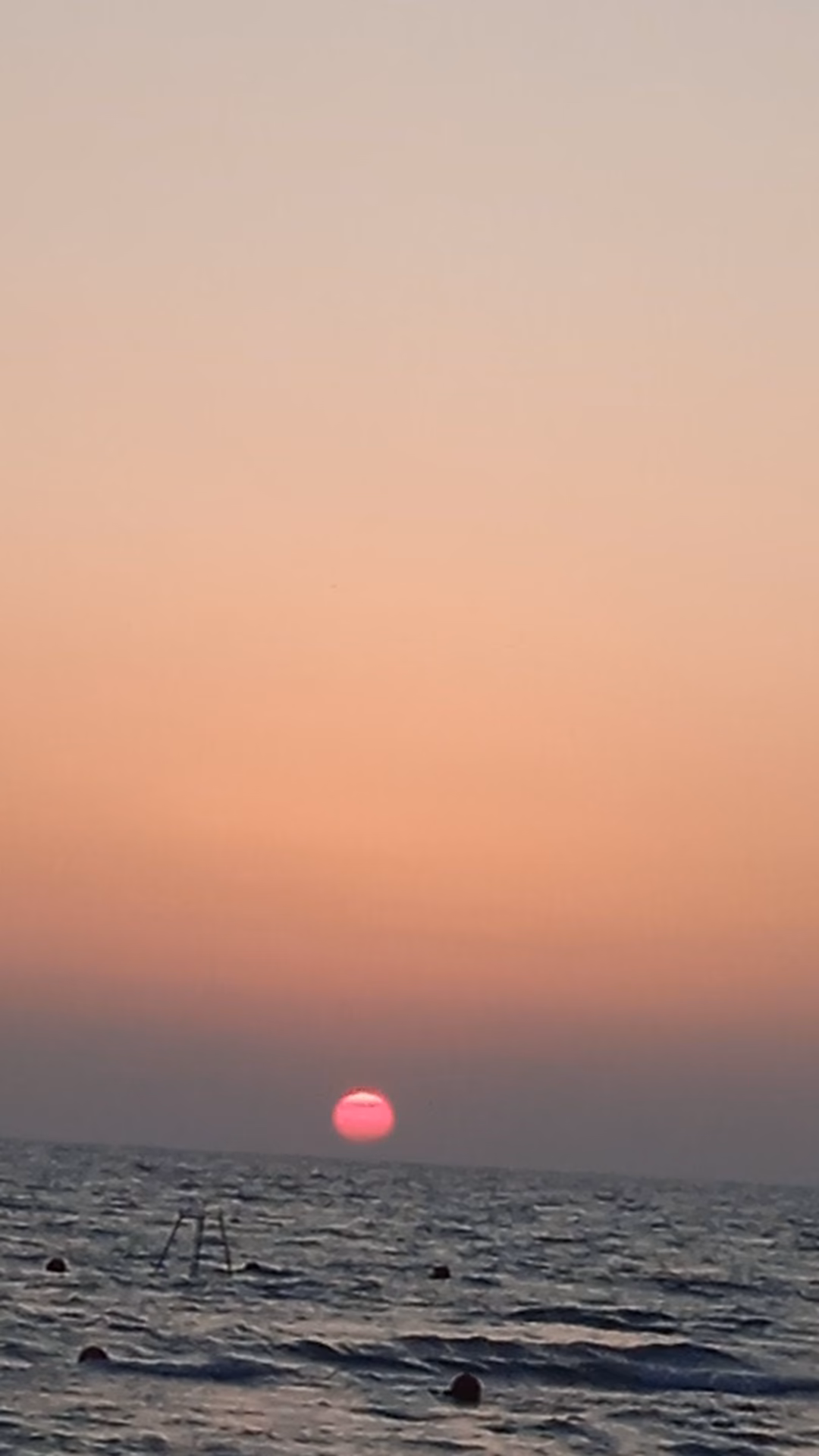 1d1737c95bef46917090f4b9e77eefae.jpg