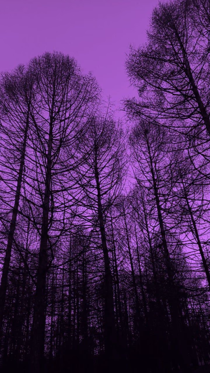 1d21a880d9137c676b7e6b079498095c.jpg