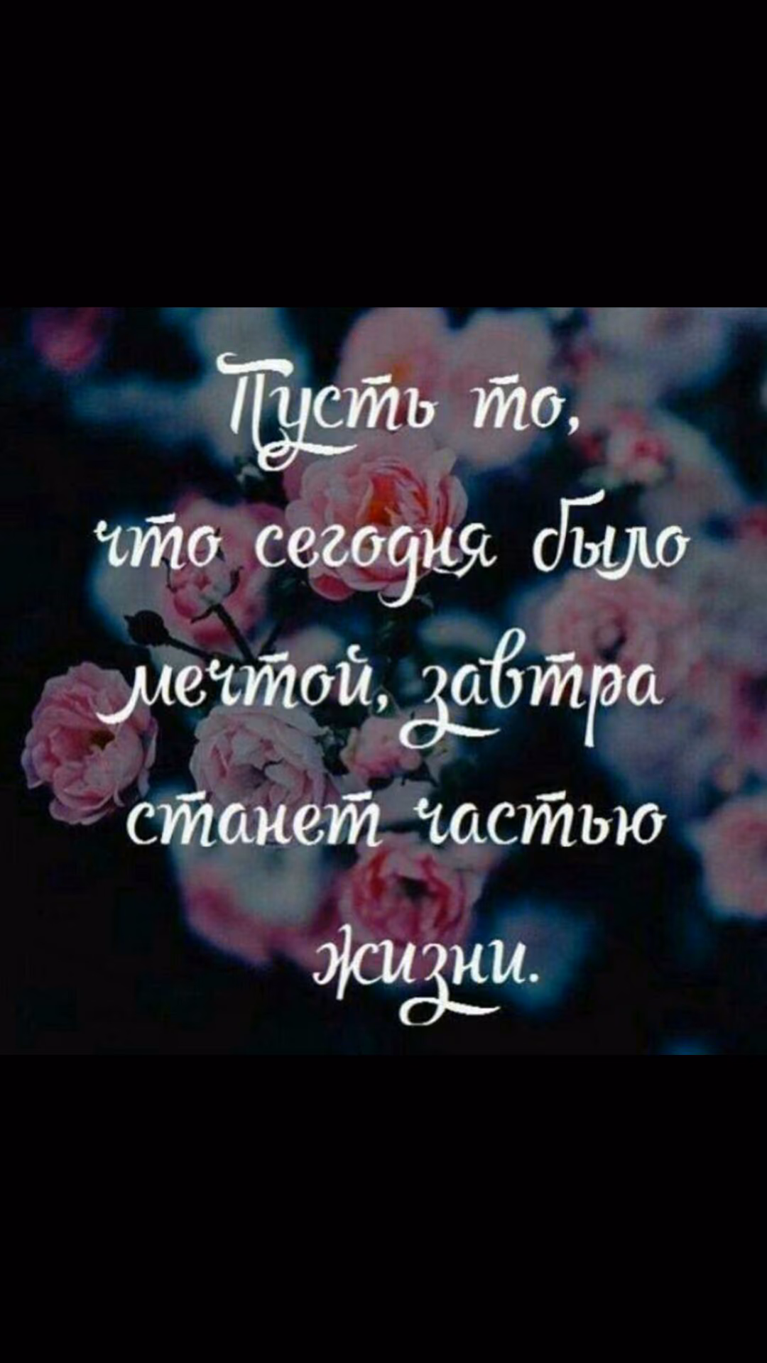 1d34022d85bdf6cdff4e80df09a1de32.jpg