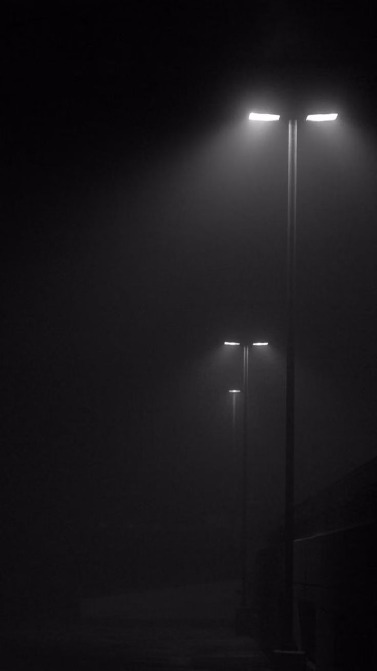 fd0c66697567f946e98a79a4fe67f23c.jpg