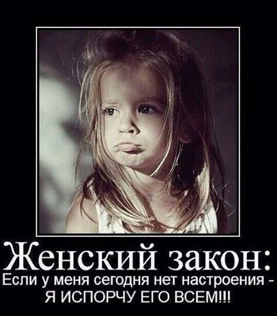 1d68020863136d24f81385da50ba780f.avif