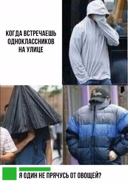 1d995bb40fb1dd14c91bcfcb17561ec4.jpg