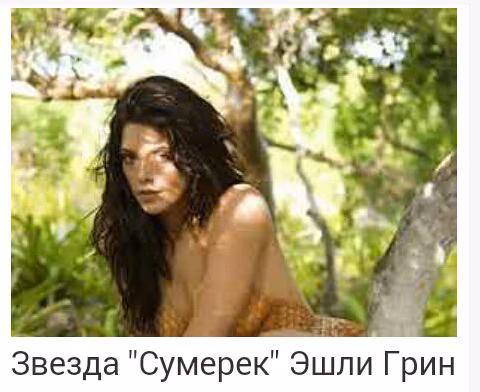 1d9a1fd98f8713926b275bffbf4b4593.avif