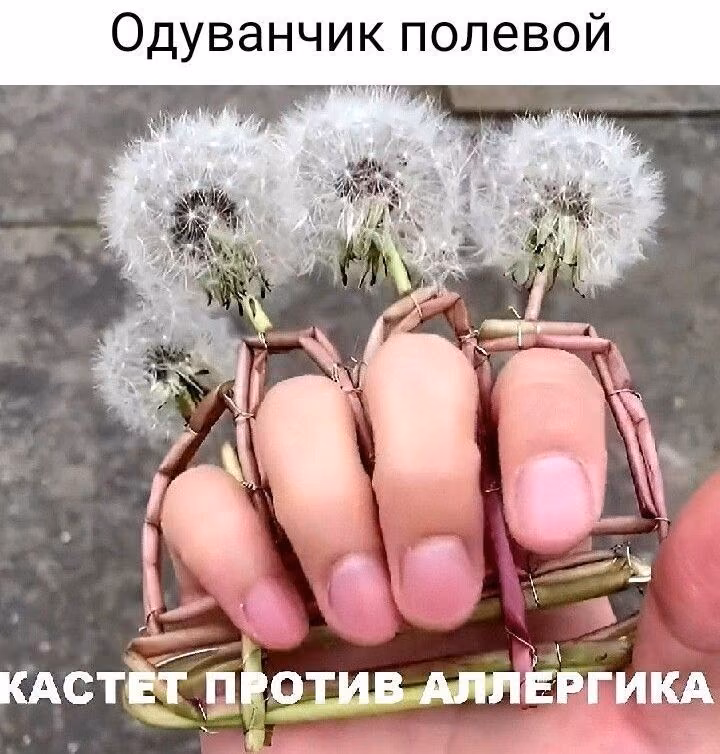 1d9e0d25049404dda468effdf9c723c2.avif