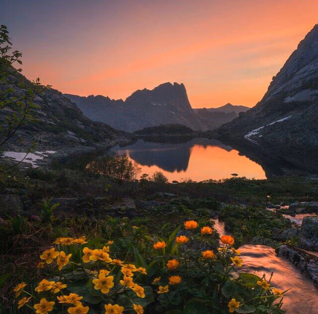 1da9d50c830a99878f4b4abd4dbb8d69.jpg