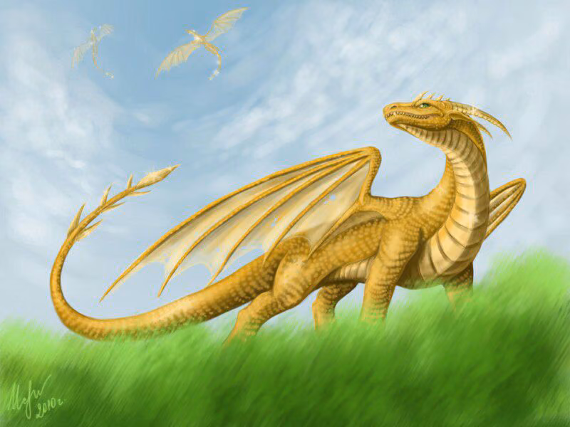 1dbb0015e36169ef4d21e5a131df6f8b.avif