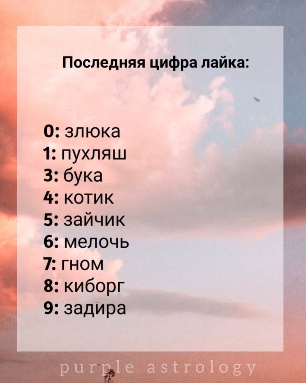 1dd4652a8d911b3c25bdfc3ae12bf788.jpg