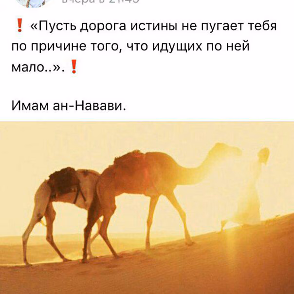 1dd523238bf129f7895276b75098614e.avif