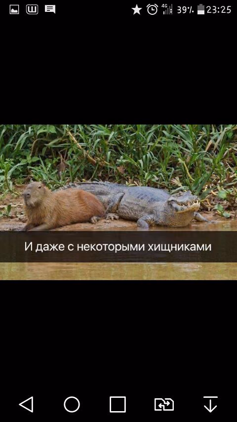 1dd5b8d6216acfd742ac758f8ffb7aee.jpg