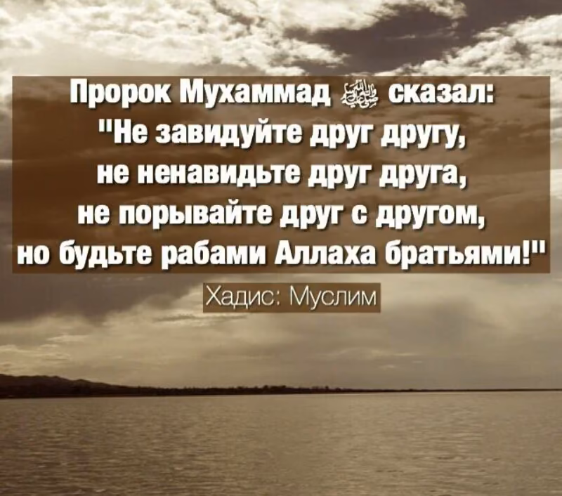1dd9caad1b49c0baeb2e48703ce21eb1.avif
