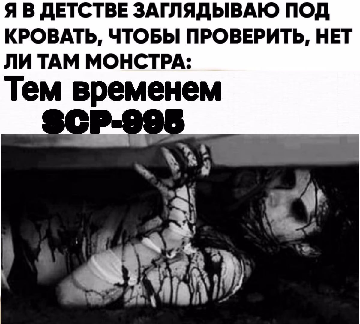 1dde210a0c587595889f643b21d7a222.avif