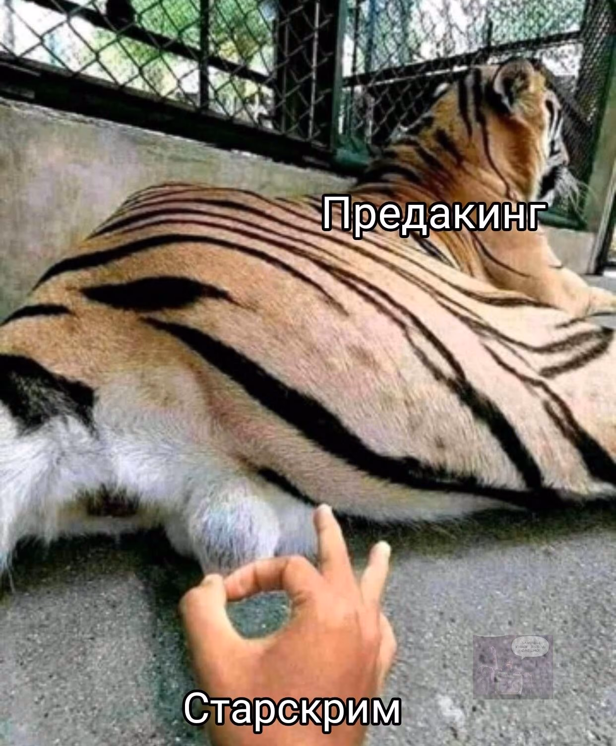 1de68377f94041f388b0f098342402e9.avif