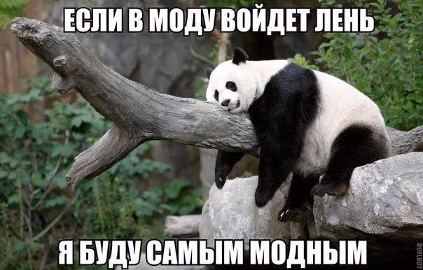 1debfe7313588f25871b503ac2a4d669.avif