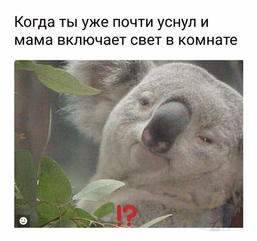 1df509fa6e5d5a6a4f45f413fafb2a5d.avif