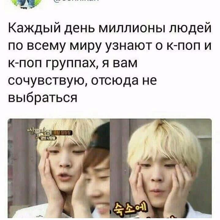 1e0481f66f0056e4c60321cc88264631.avif