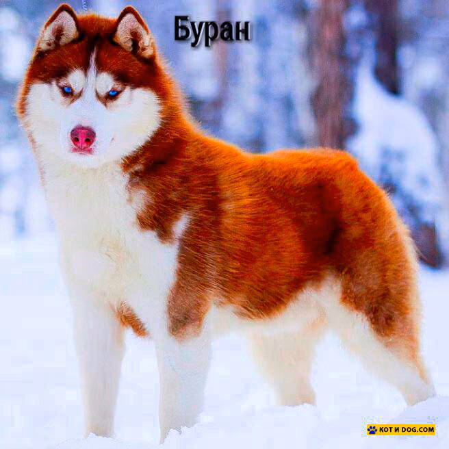 1e0a3d1b626290a480f00b38caf8b4c3.jpg