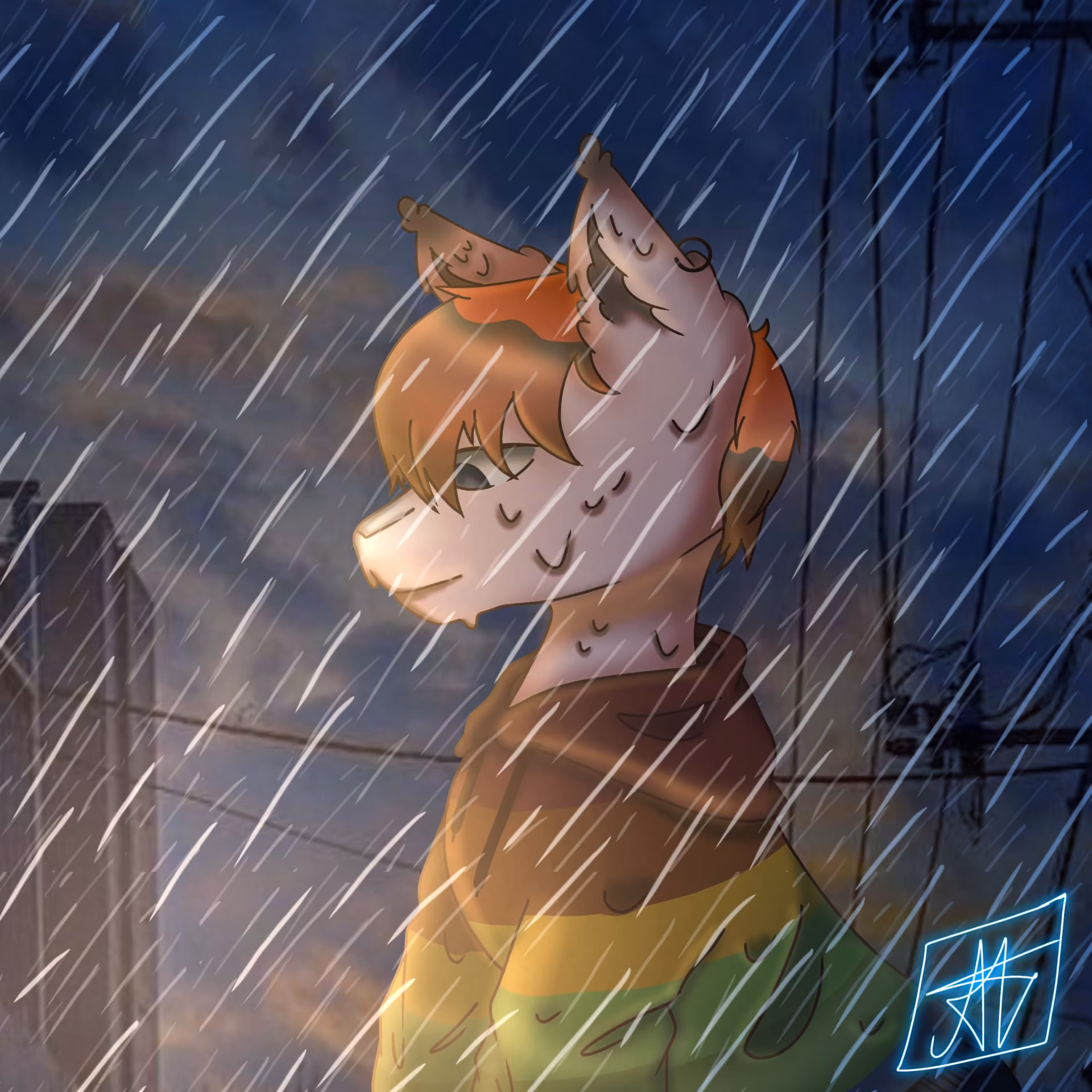 1e17239a7b1fd9e22d5901b960f3ffdd.jpg
