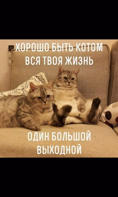 1e1882e7a648d46163e631762ddc5186.avif