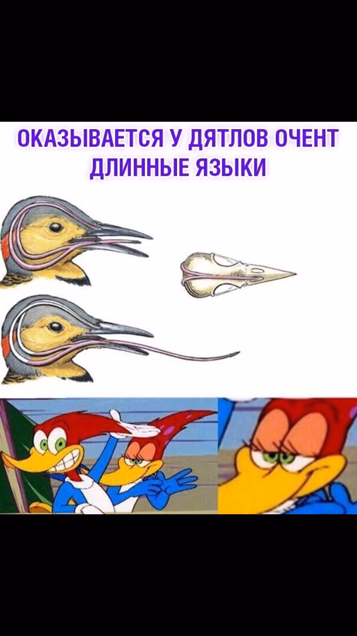 1e2f6c41bdcd56d5c8c7eeb2c9afc0f7.jpg