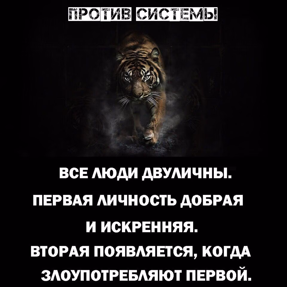 1e316020691c53d8f9aeb3d2a0873c18.avif