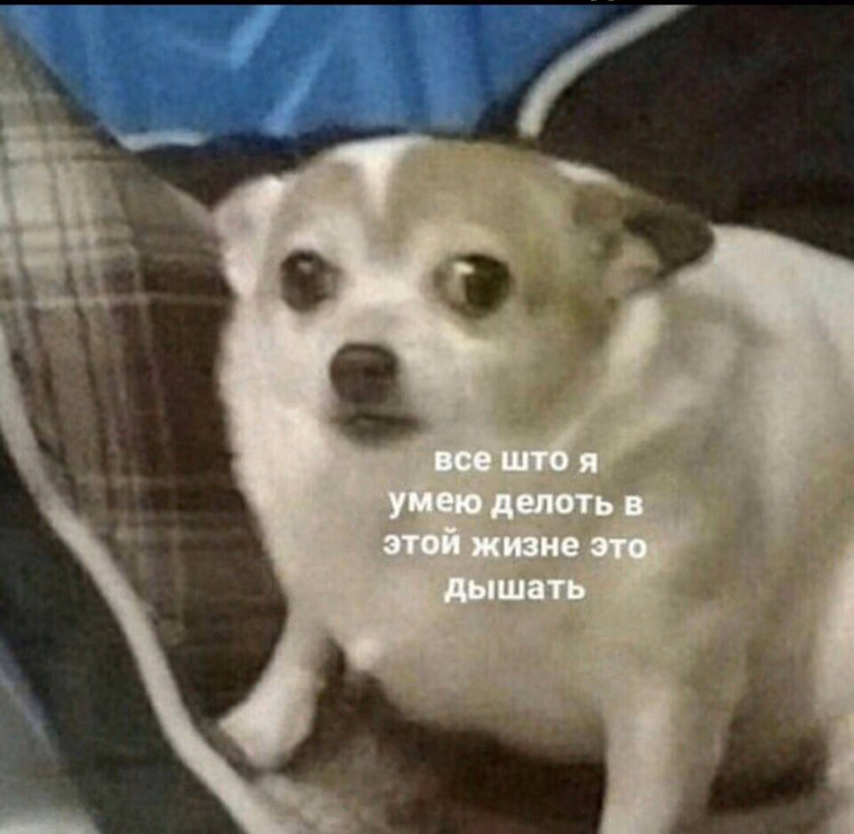 1e43084b37e835f3352321604d5ce455.jpg