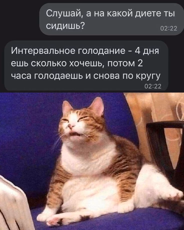 1e4b2dd9055def4eecbaacd479ab5264.avif