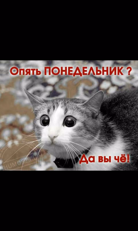 1e4d45594e891bc88a91367d0a3a304d.avif