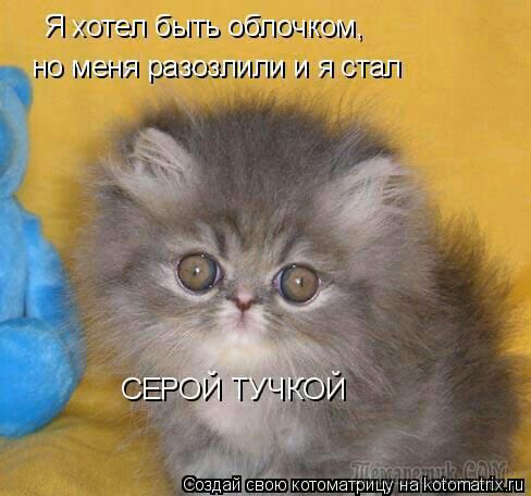 1e5ce8424416fb483bc614c47514b10f.jpg