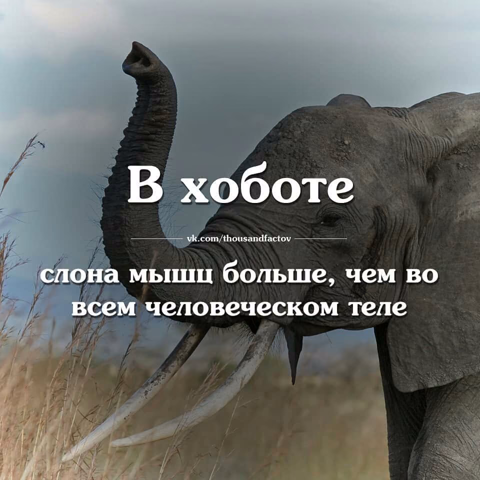 1e61eae81fe288195216da547fd724a5.jpg