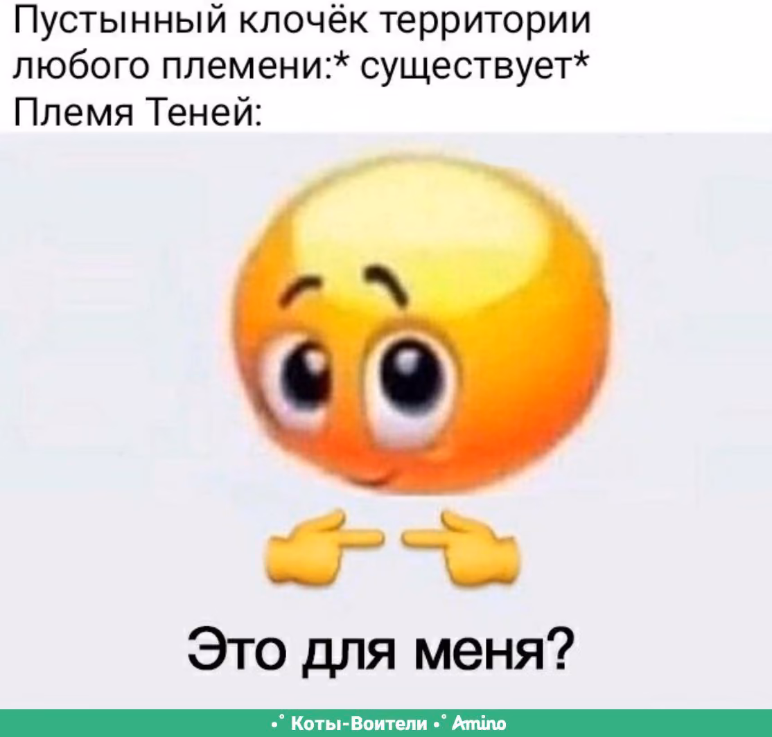 1e6208a4c7e1b73d2614661e5b6fae17.avif