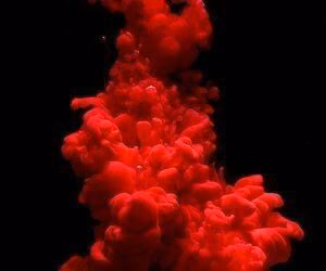 1e665356de9ebaf1f454a7d3b57de5af.jpg