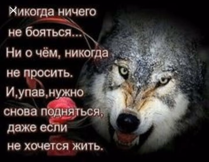 1e6ff866fdb5afaee92961f184a04412.avif