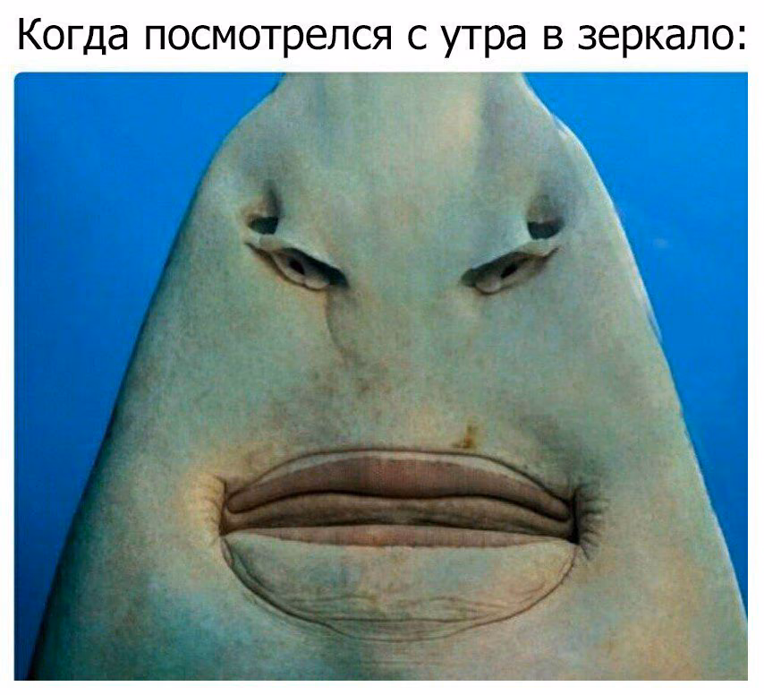 1e74f0c82f6754d820fba72472ea27e4.jpg